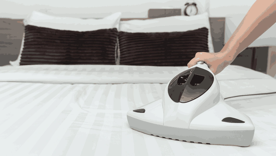 Professional Mattress Cleaning Bundoora